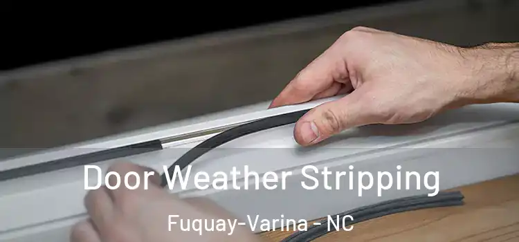  Door Weather Stripping Fuquay-Varina - NC