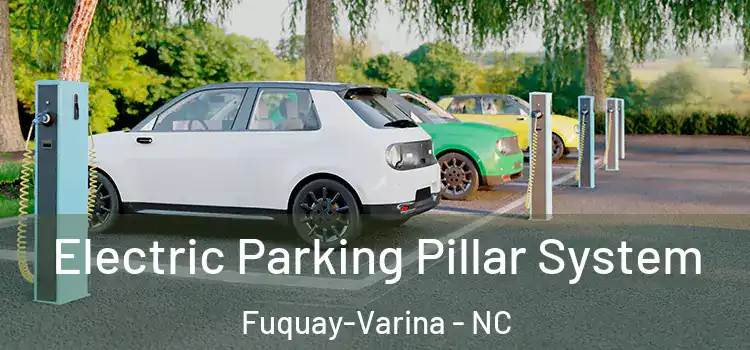 Electric Parking Pillar System Fuquay-Varina - NC