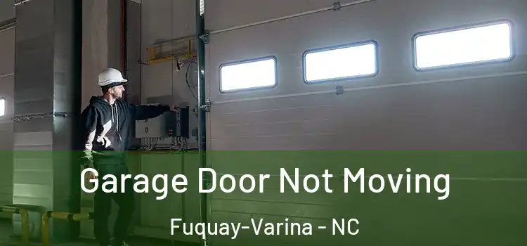  Garage Door Not Moving Fuquay-Varina - NC