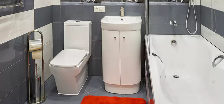 Hansgrohe Shaving Mirror Fuquay-Varina